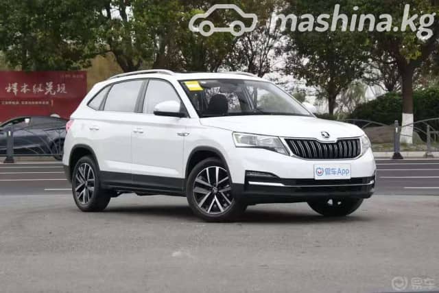 Skoda Kamiq I (China Market) 1.5 AT