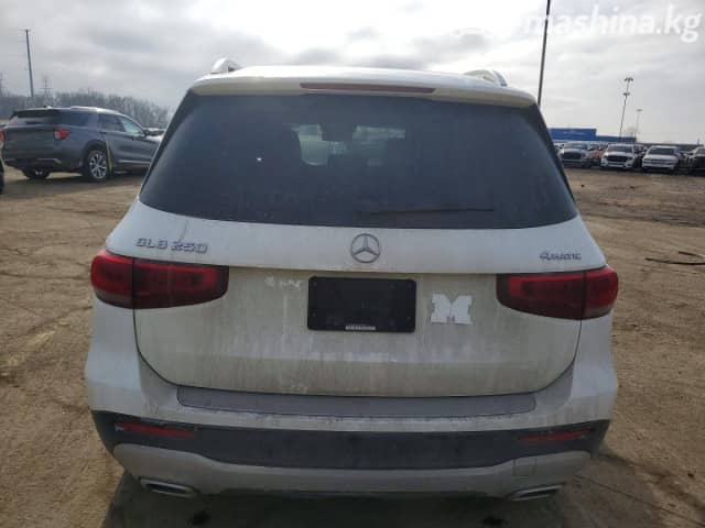 Mercedes-Benz GLB I (X247) 250 2.0 AMT 4WD