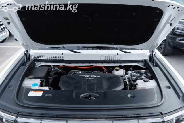 BYD FangChengBao Leopard 5 1.5hyb CVT 4WD