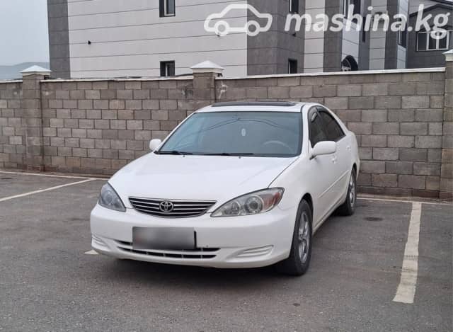 Toyota Camry V (XV30) 2.4 AT
