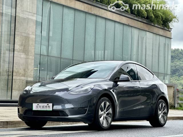 Tesla Model Y I Long Range Electro AT 4WD