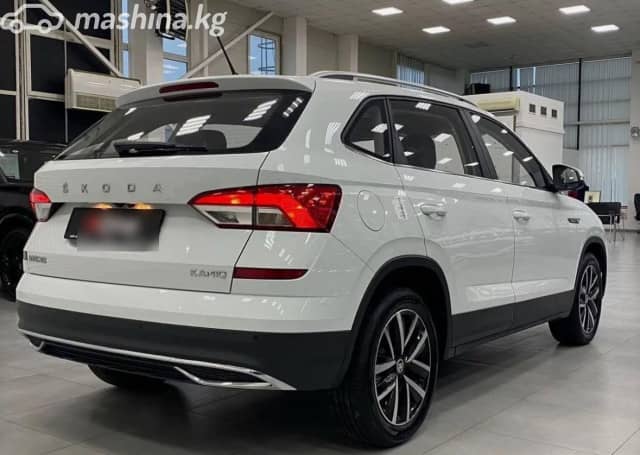 Skoda Kamiq I (China Market) 1.5 AT