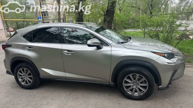 Lexus NX I Рестайлинг 300 2.0 AT 4WD