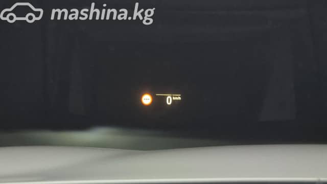 BMW 5 серии VII (G30/G31) 530i xDrive 2.0 AT 4WD