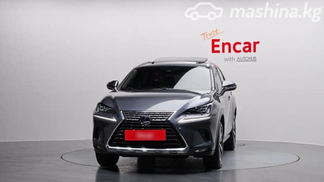 Lexus NX I Рестайлинг 300h 2.5hyb CVT 4WD
