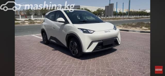 BYD Seagull 38.88 kWh Electro AT