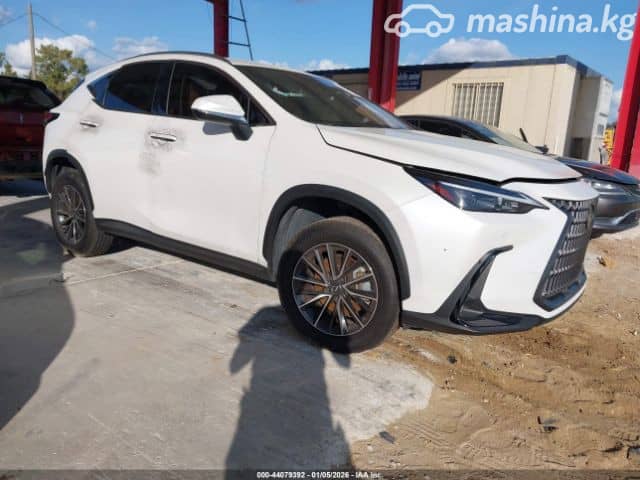 Lexus NX II 250 2.5 AT
