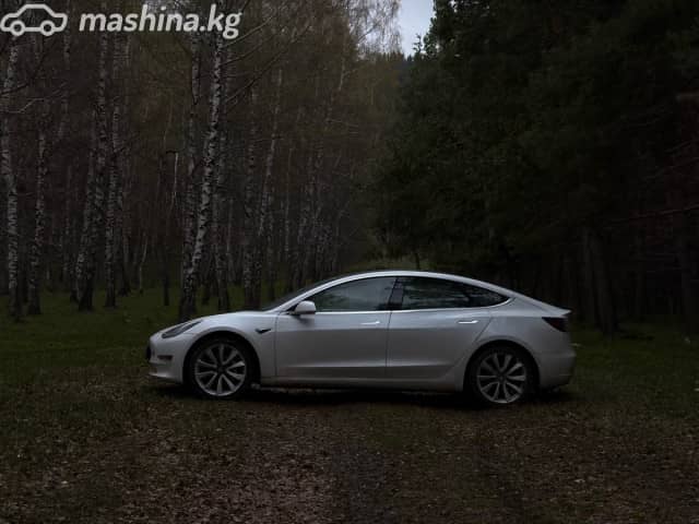 Tesla Model 3 I Standart Plus Electro AT