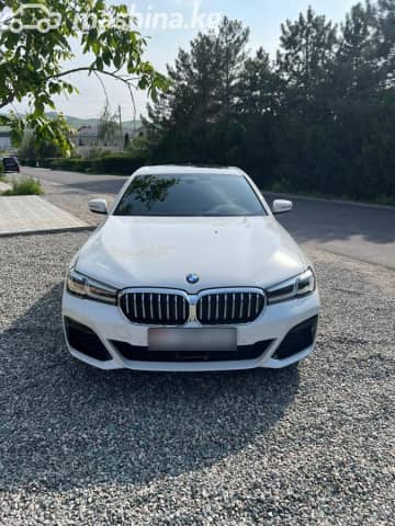 BMW 5 серии VII (G30/G31) Рестайлинг 530i xDrive 2.0 AT 4WD