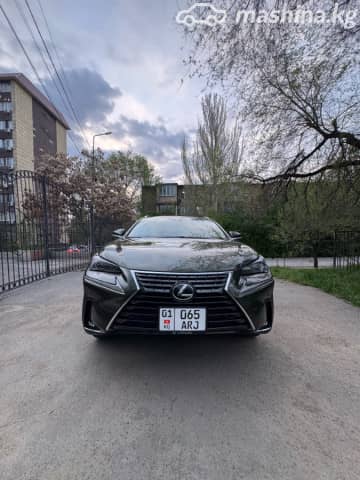 Lexus NX II 250 2.5 AT