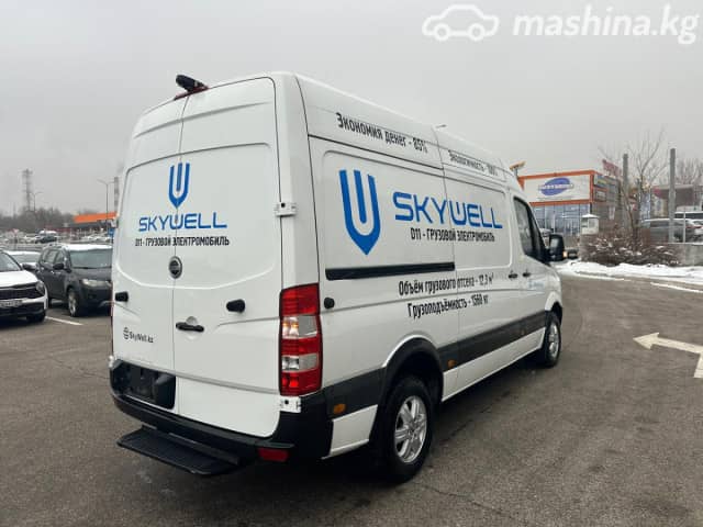 Skywell D11