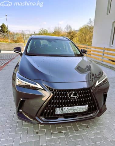Lexus NX II 350h 2.5hyb AT 4WD