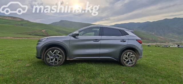 BYD Yuan Plus Standard Range Electro AT