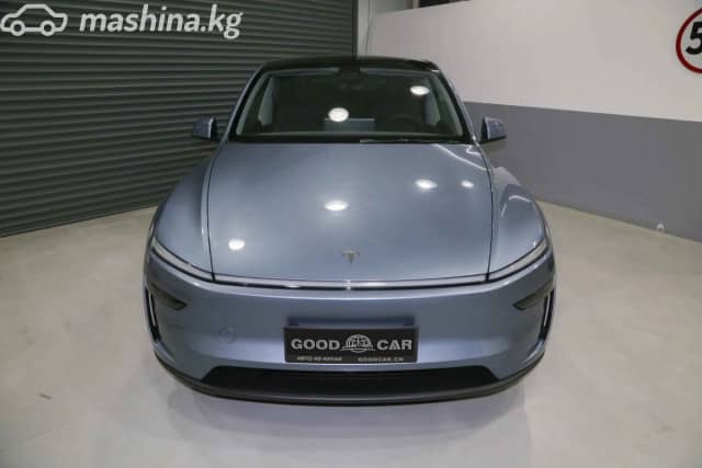 Tesla Model Y I Standard Electro AT