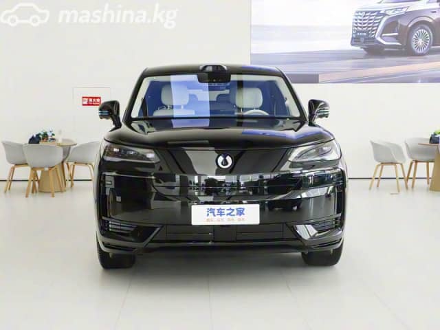 Denza N9 2.0hyb CVT 4WD