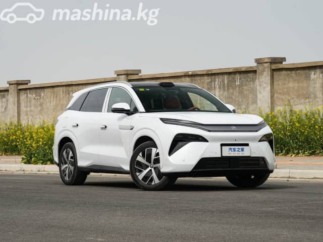 BYD Tang L DM-i 1.5hyb AT