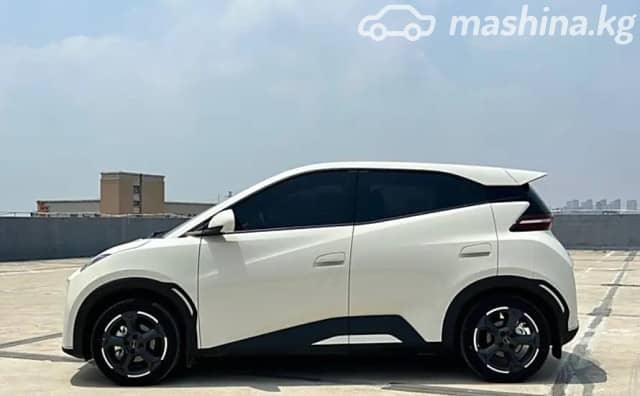 BYD Seagull 38.88 kWh Electro AT