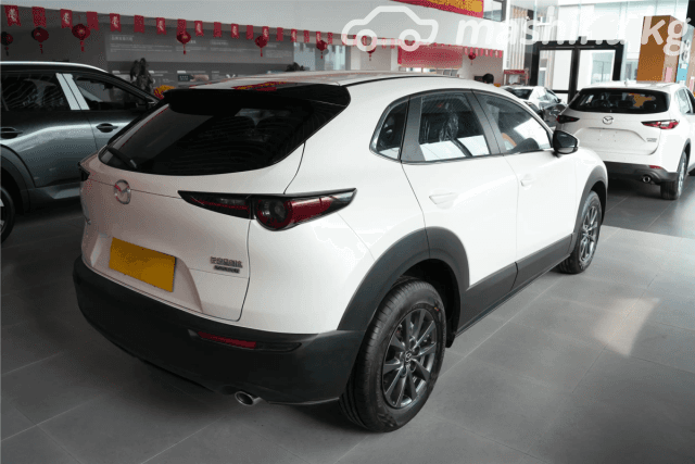 Mazda CX-30 I 2.0 MT