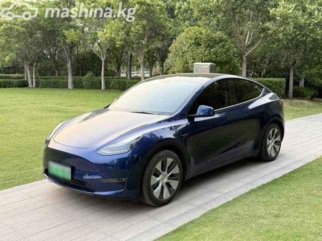 Tesla Model Y I Long Range Electro AT