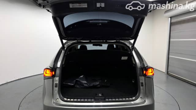Lexus NX I Рестайлинг 300h 2.5hyb CVT 4WD