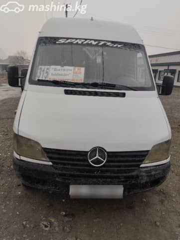 Mercedes-Benz Туристический