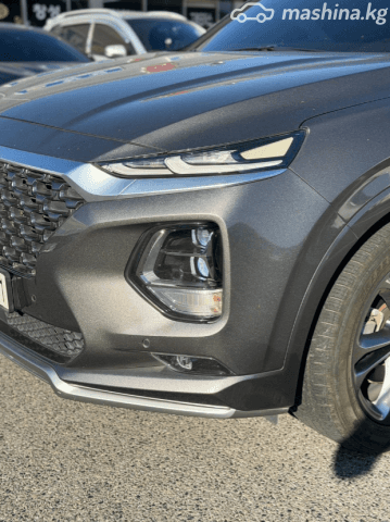 Hyundai Santa Fe IV 2.2d AT 4WD