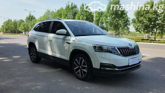 Skoda Kamiq I (China Market) 1.5 AT