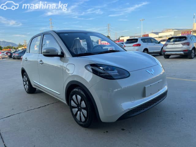 Wuling Binguo 37.9 kWh Electro AT