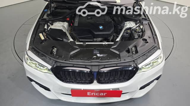 BMW 5 серии VII (G30/G31) 530i xDrive 2.0 AT 4WD
