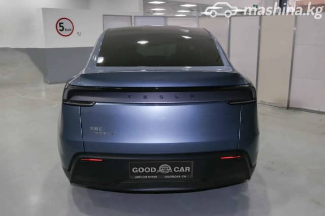 Tesla Model Y I Standard Electro AT