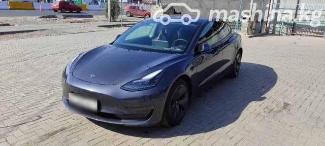 Tesla Model 3 I Standart Plus Electro AT