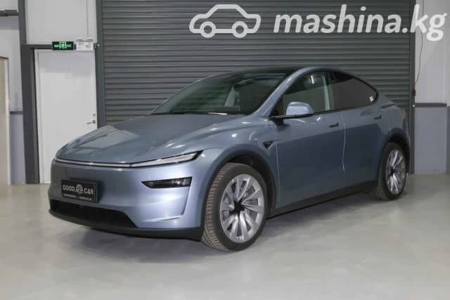 Tesla Model Y I Standard Electro AT
