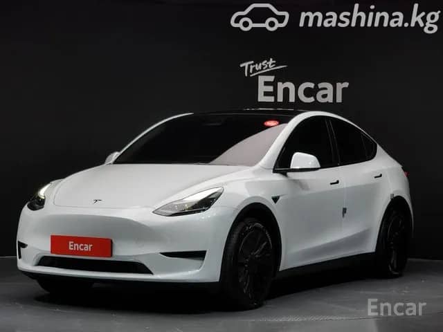 Tesla Model Y I Performance Electro AT 4WD