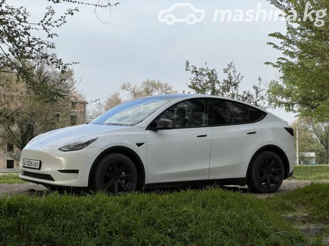 Tesla Model Y I Long Range Electro AT 4WD