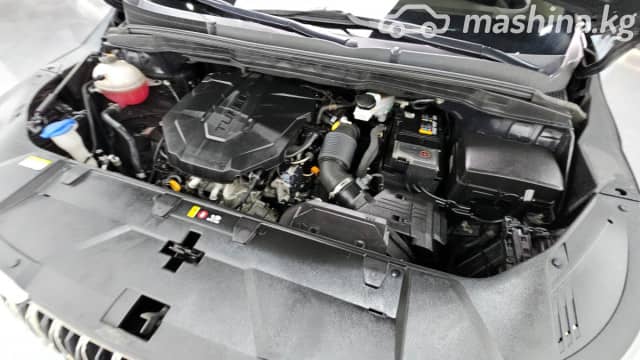 Kia Carnival IV 2.2d AT