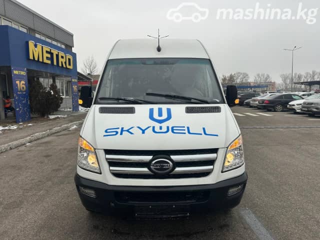 Skywell D11