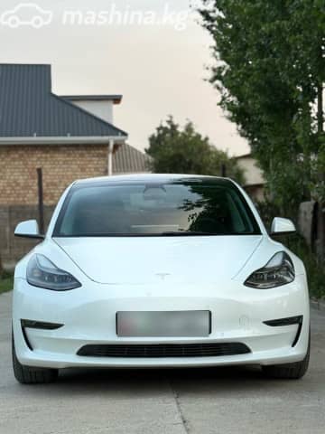 Tesla Model 3 I Performance Electro AT 4WD