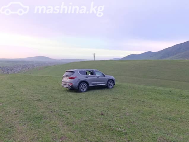 Hyundai Santa Fe IV 2.0d AT 4WD