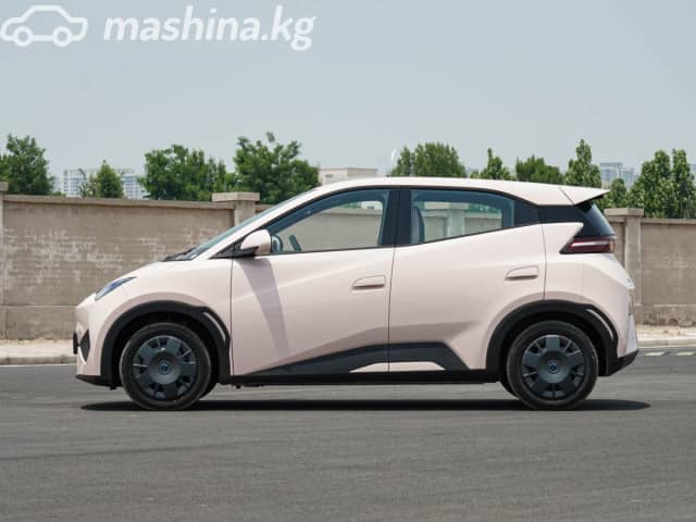 BYD Seagull 30.08 kWh Electro AT