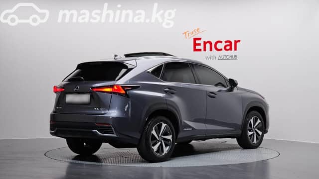Lexus NX I Рестайлинг 300h 2.5hyb CVT 4WD