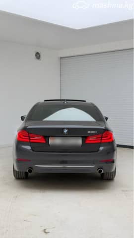 BMW 5 серии VII (G30/G31) 530i xDrive 2.0 AT 4WD