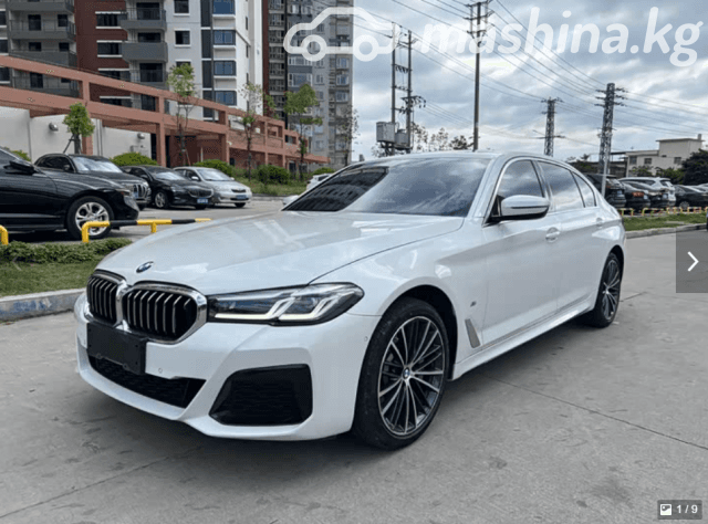 BMW 5 серии VII (G30/G31) Рестайлинг 530Li 2.0 AT
