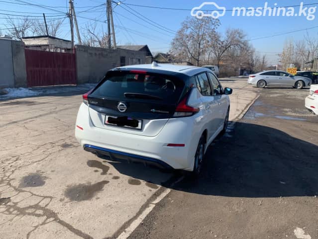 Nissan Leaf II (ZE1) Electro AT