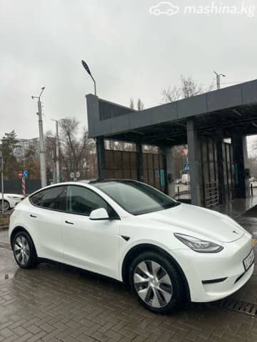 Tesla Model Y I Long Range Electro AT 4WD
