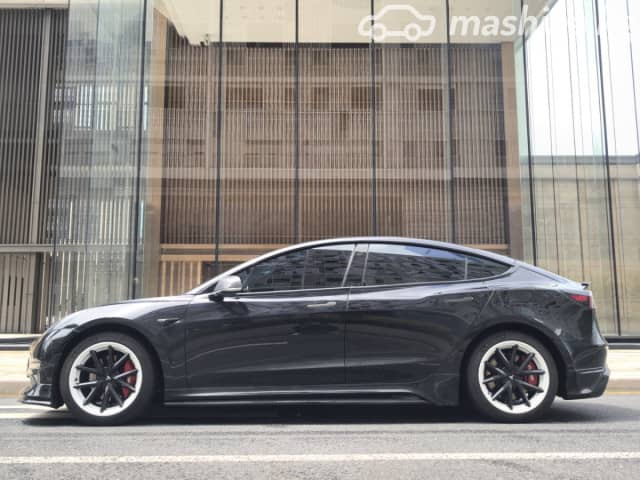Tesla Model 3 I Standart Electro AT