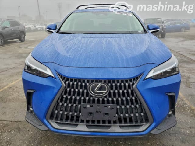 Lexus NX II 250 2.5 AT