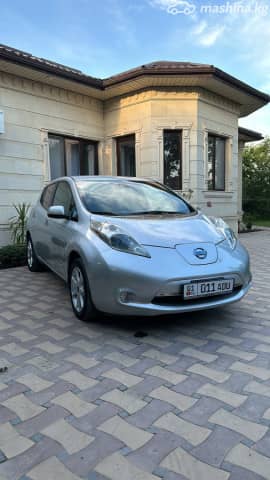 Nissan Leaf I (ZE0/AZE0) Electro AT