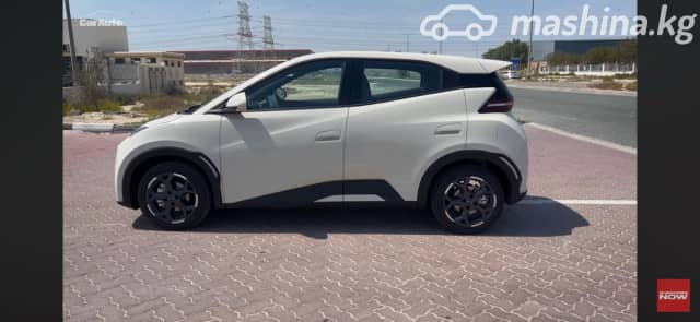 BYD Seagull 38.88 kWh Electro AT