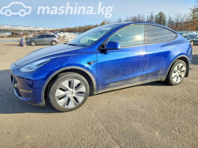 Tesla Model Y I Long Range Electro AT 4WD