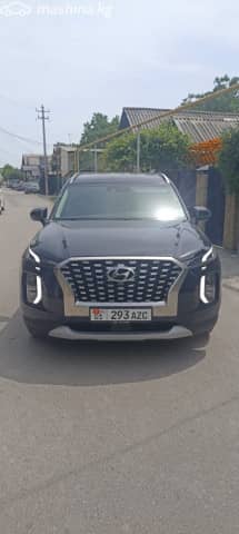 Hyundai Palisade I